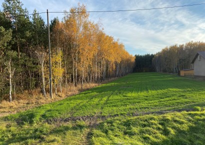 działka na sprzedaż - Grzegorzew, Barłogi, Emilewo