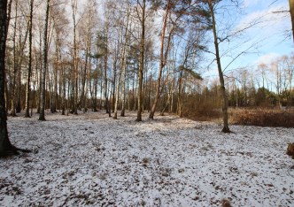 działka na sprzedaż - Stryków (gw), Anielin Swędowski