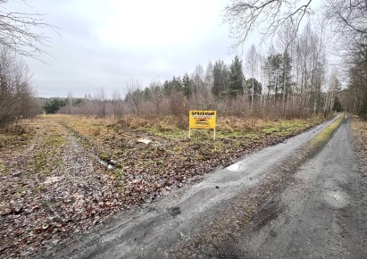 działka na sprzedaż - Dłutów, Huta Dłutowska